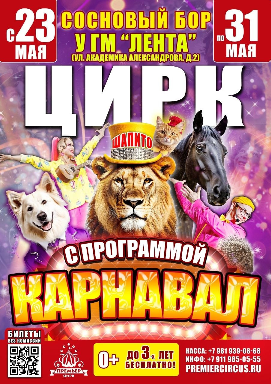 Цирк